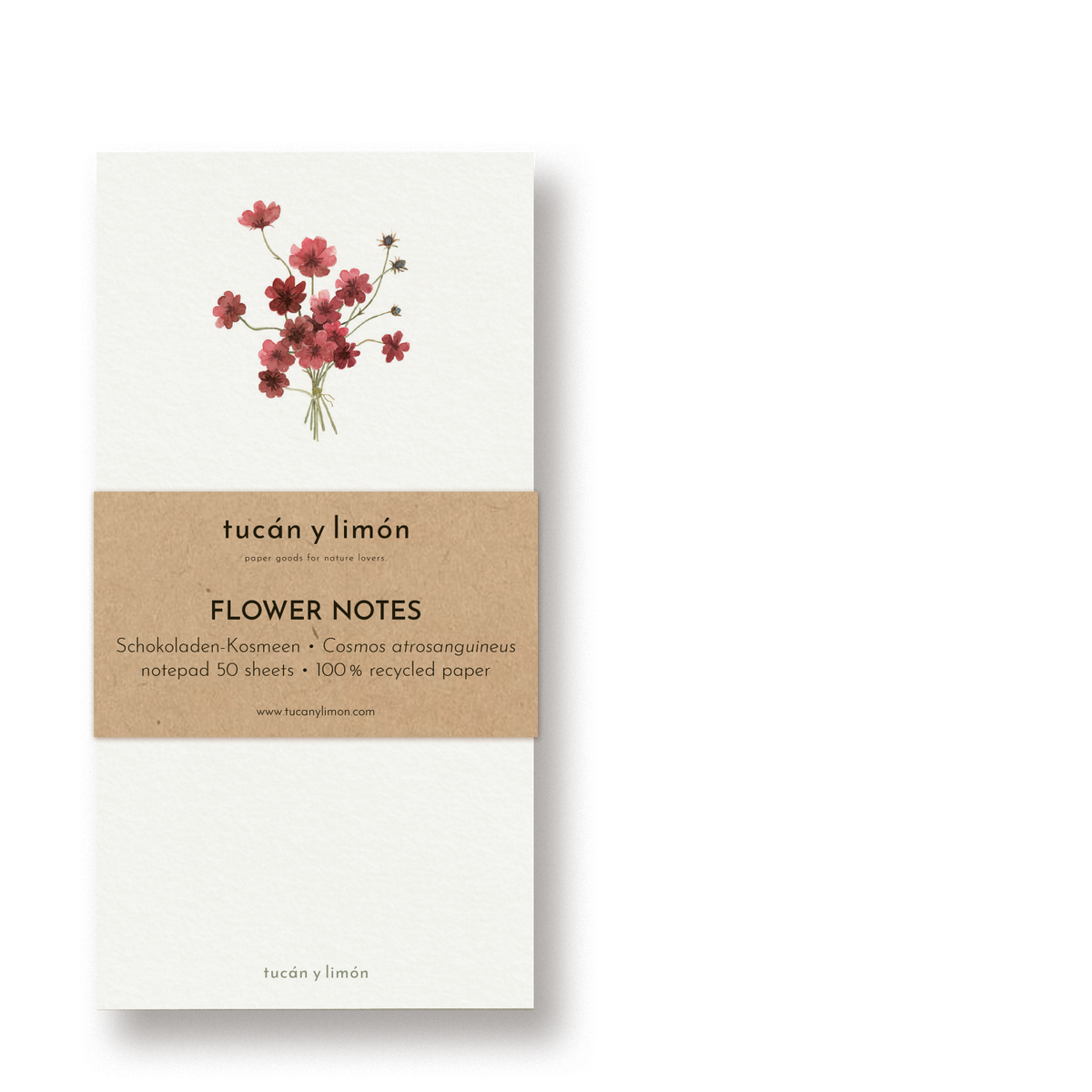 'FLOWER NOTES - KOSMEEN'