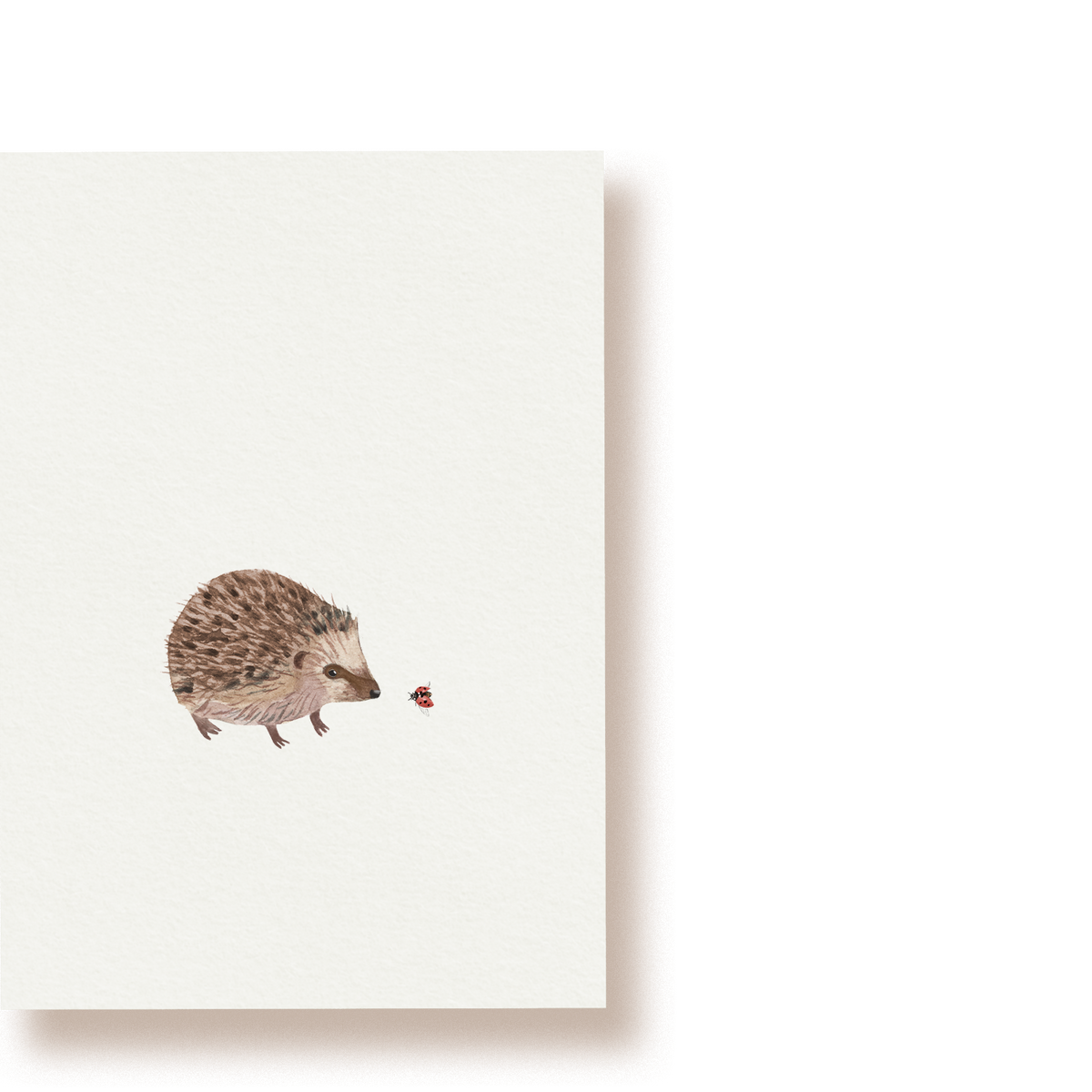 'IGEL'