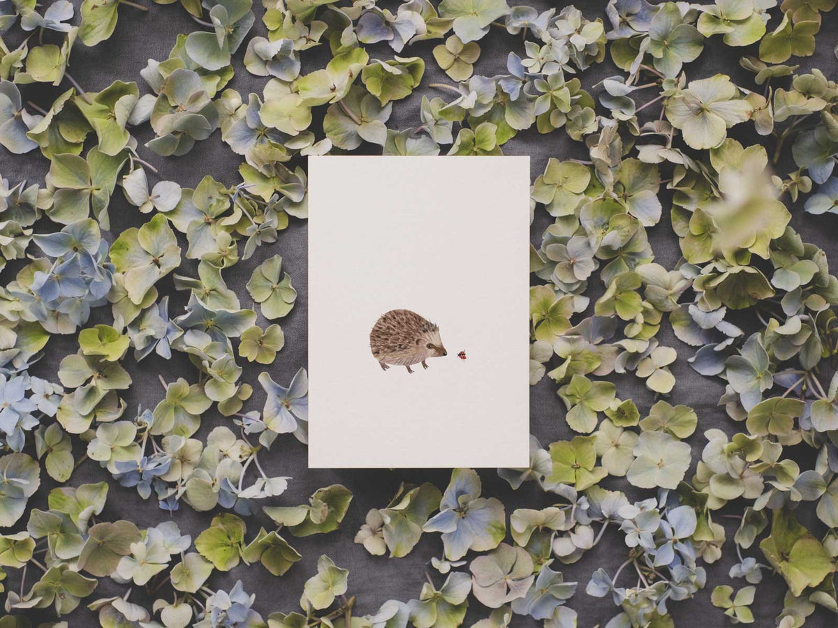 'IGEL'