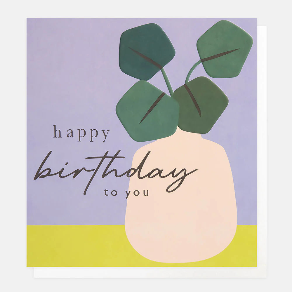 'GEBURTSTAG' | PFLANZE