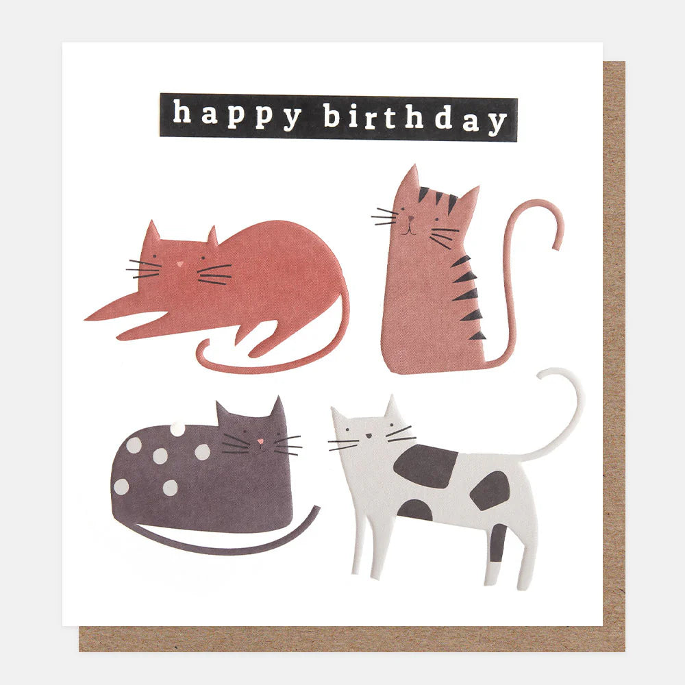 'VIER KATZEN'